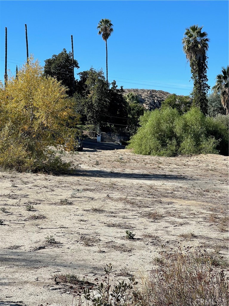 MLS #SW24229282 image #8