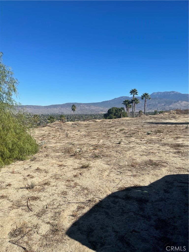 MLS #SW24229282 image #9