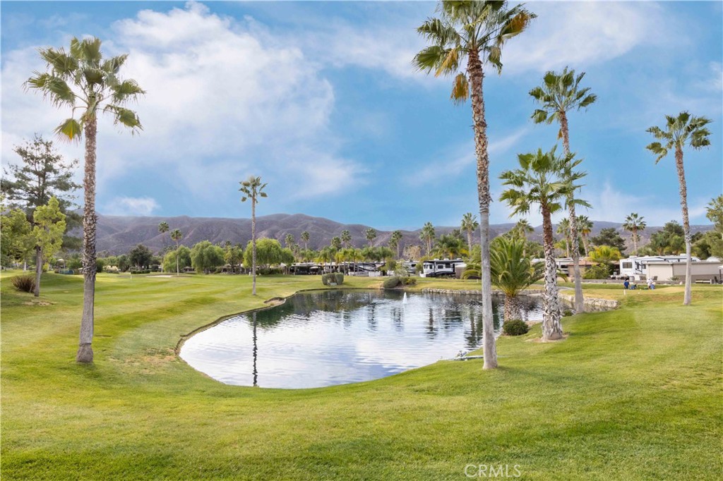 MLS #SW24235601 image #13