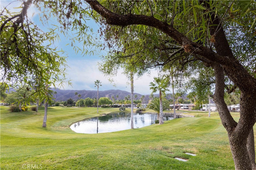 MLS #SW24235601 image #15