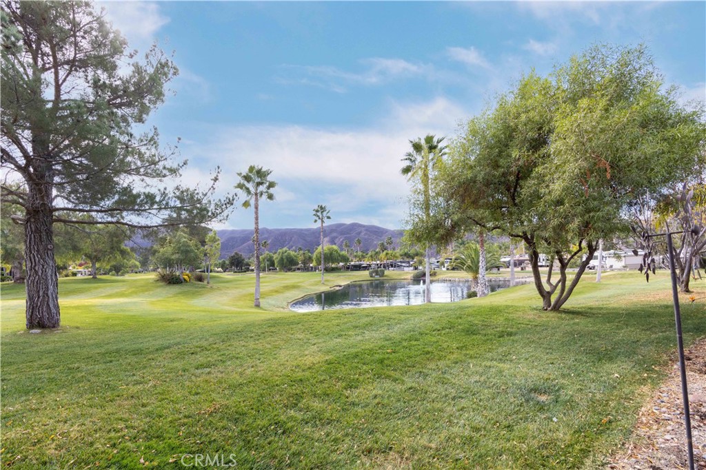 MLS #SW24235601 image #16