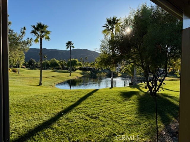 MLS #SW24235601 image #8