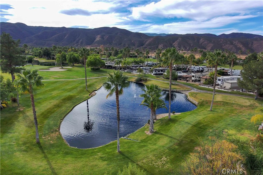 MLS #SW24235601 image #9