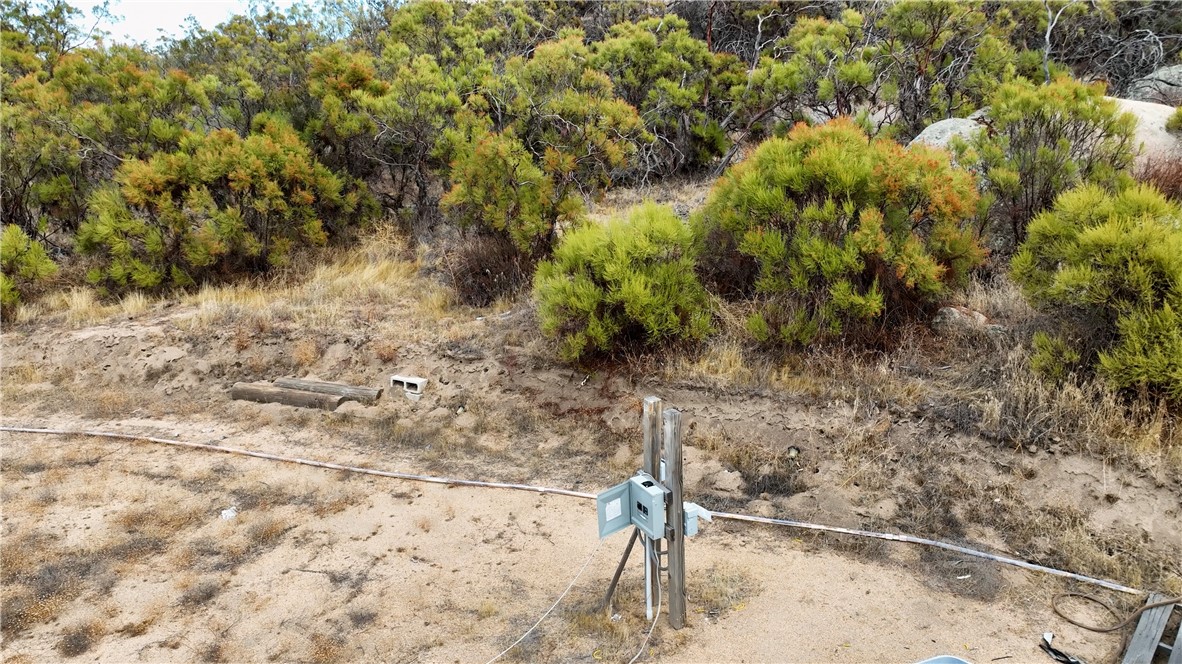 MLS #SW24252474 image #10