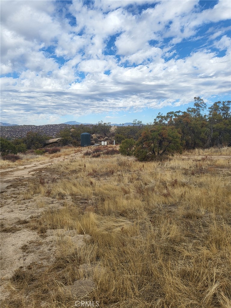 MLS #SW24252474 image #12