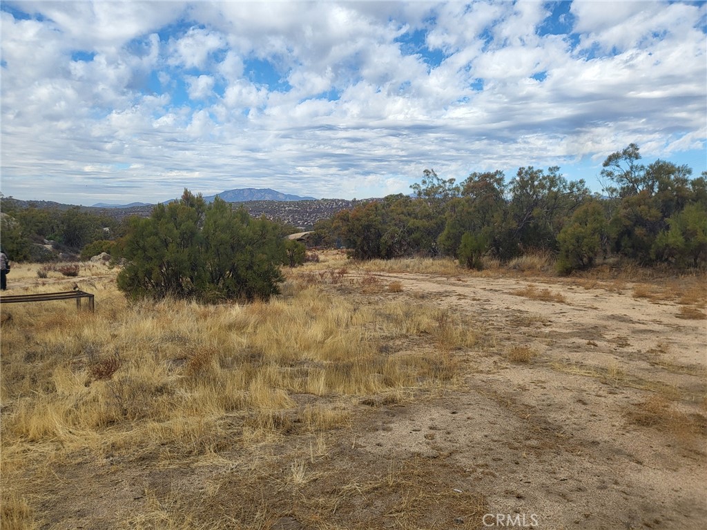 MLS #SW24252474 image #13