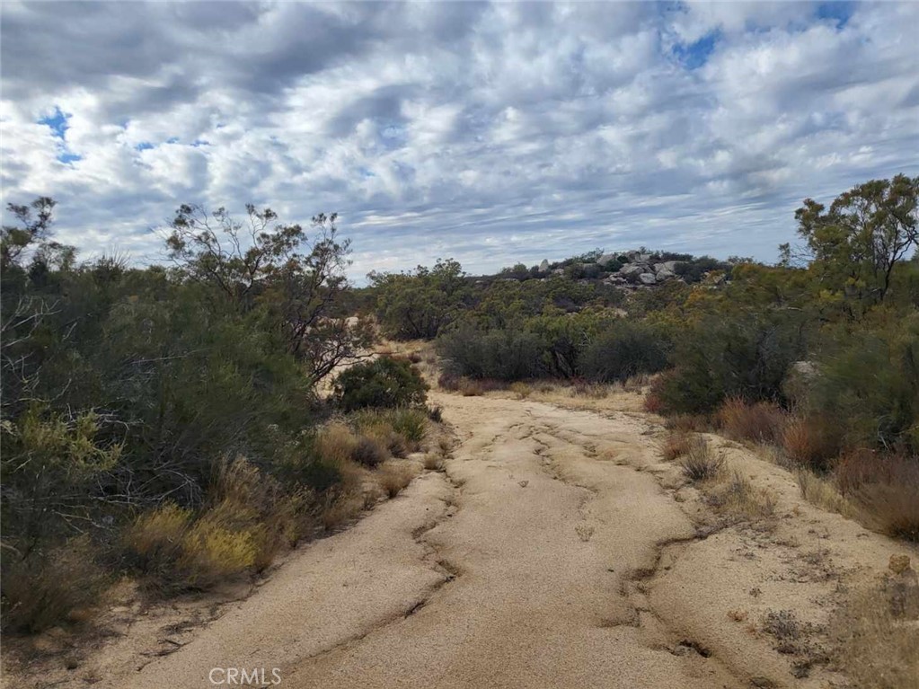 MLS #SW24252474 image #17