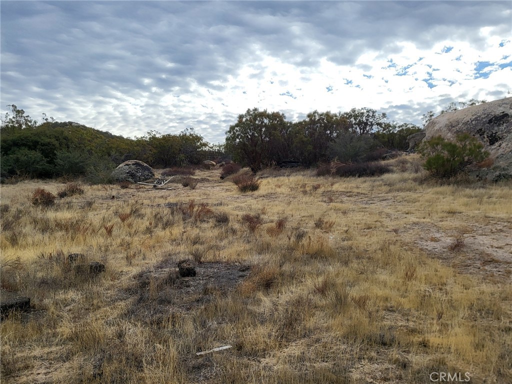 MLS #SW24252474 image #20