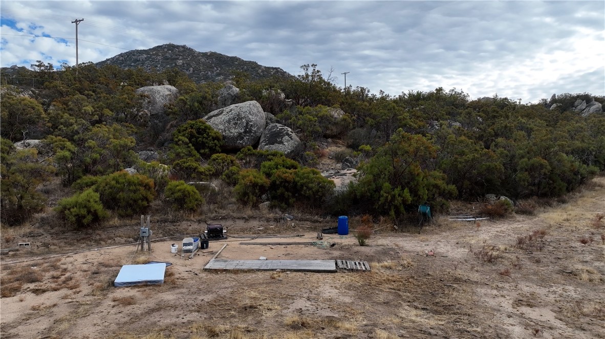 MLS #SW24252474 image #4