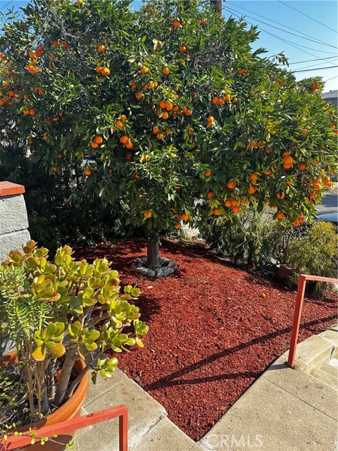 MLS #SW25000706 image #6