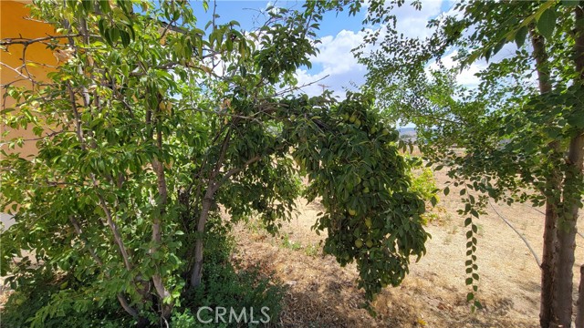 MLS #SW25001464 image #19