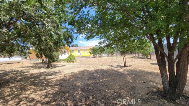 MLS #SW25001464 image #21
