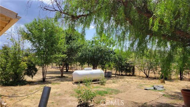 MLS #SW25001464 image #25
