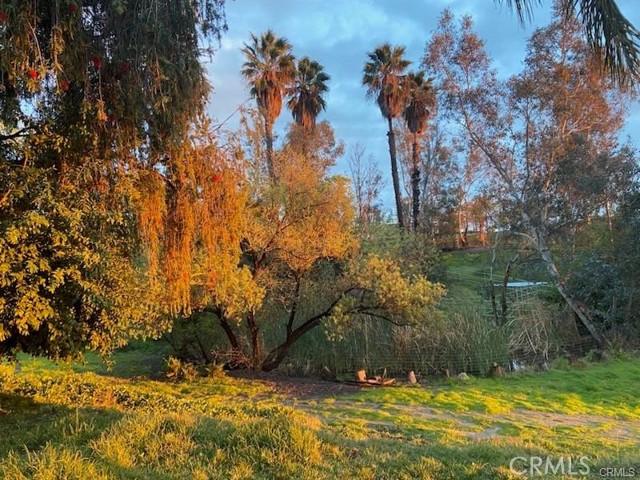 MLS #SW25004427 image #51