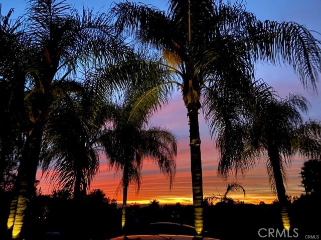 MLS #SW25004427 image #52