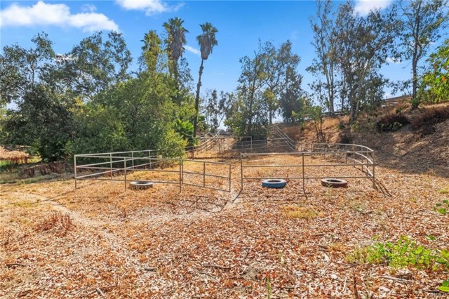 MLS #SW25004427 image #56
