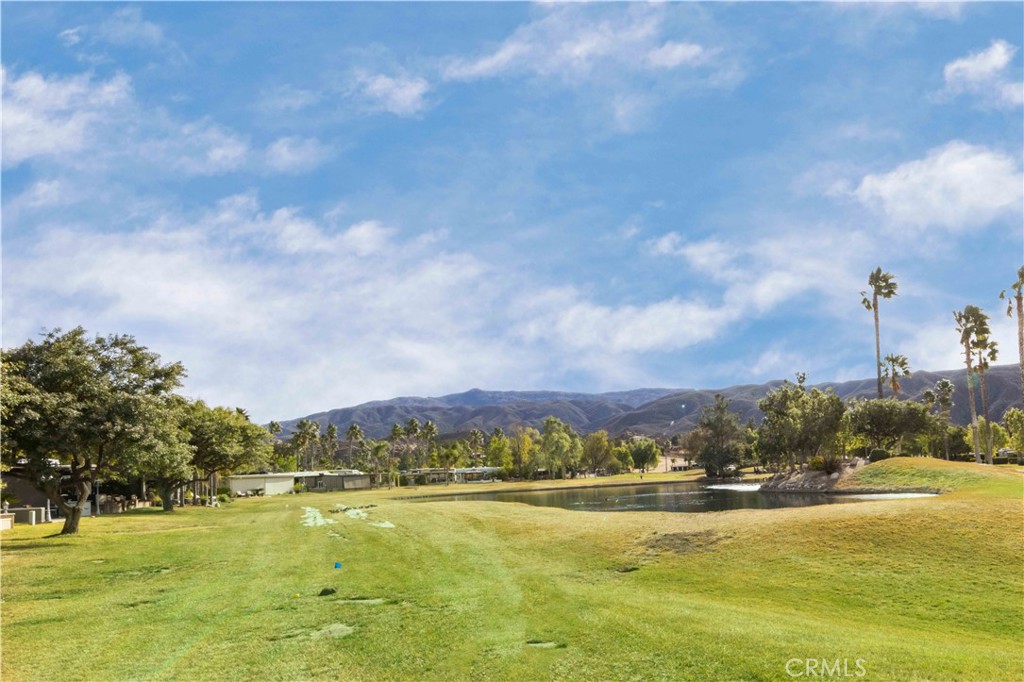 MLS #SW25016508 image #10