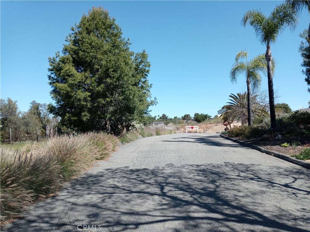 MLS #SW25018706 image #13