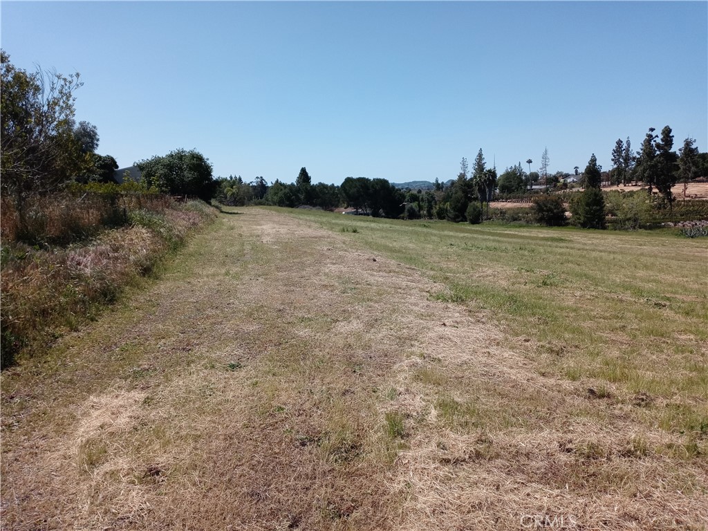 MLS #SW25018706 image #18