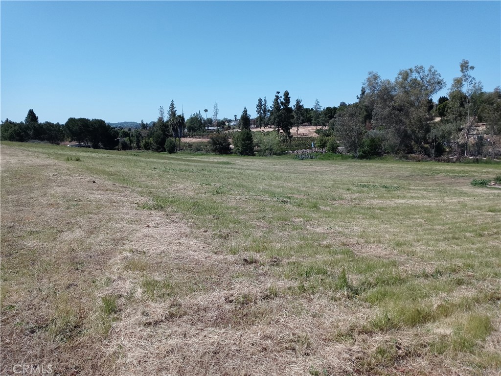 MLS #SW25018706 image #19