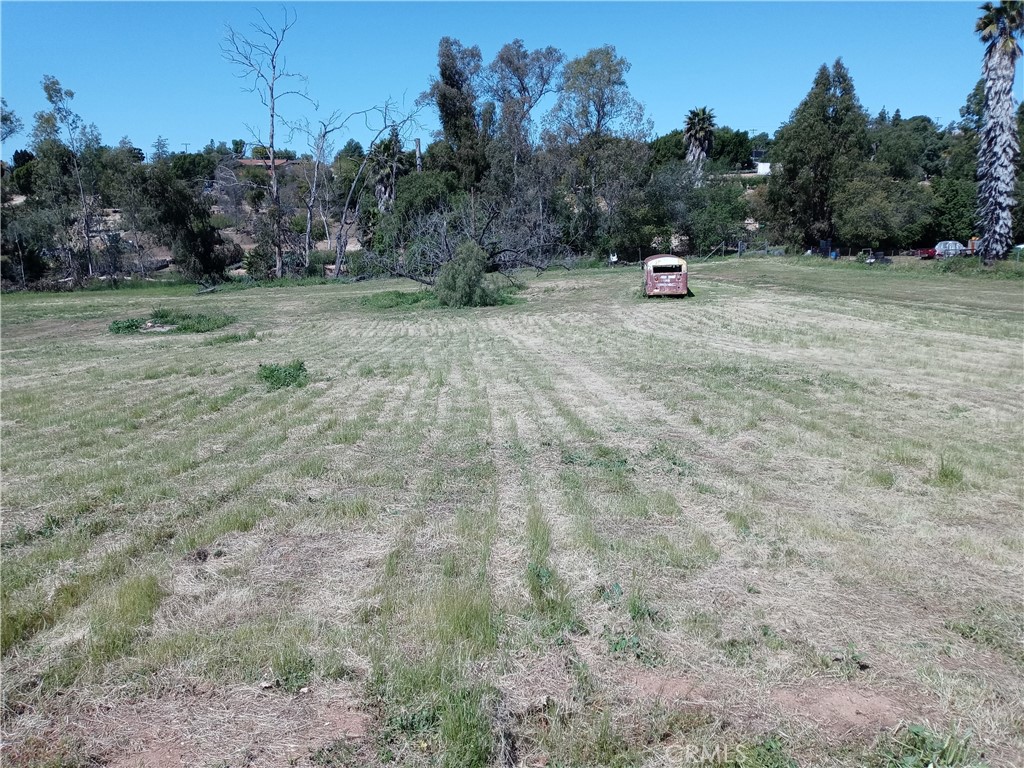 MLS #SW25018706 image #20