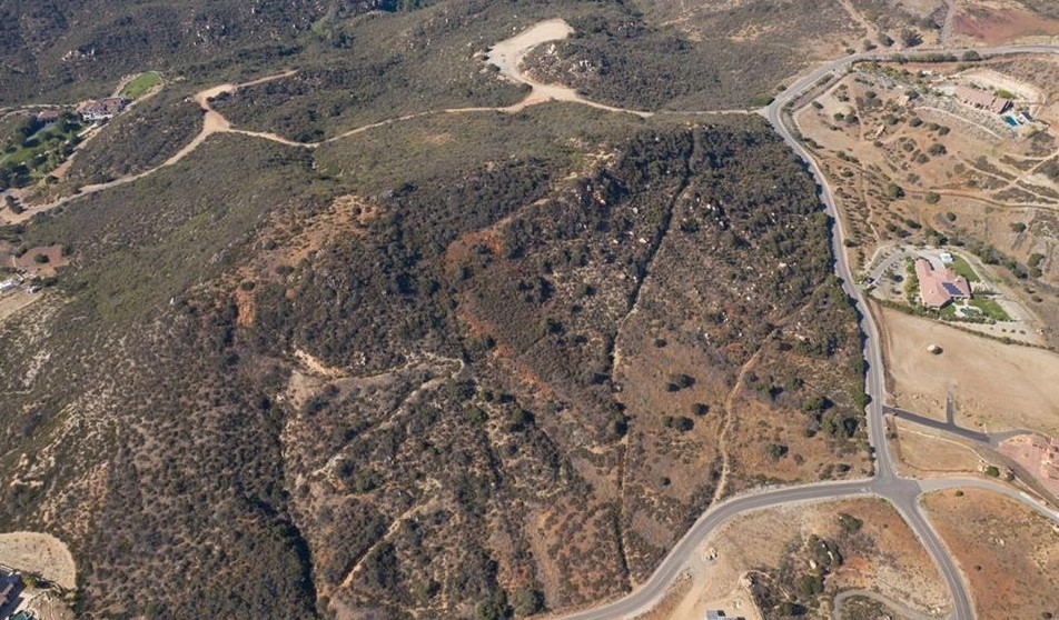 MLS #SW25020194 image #1