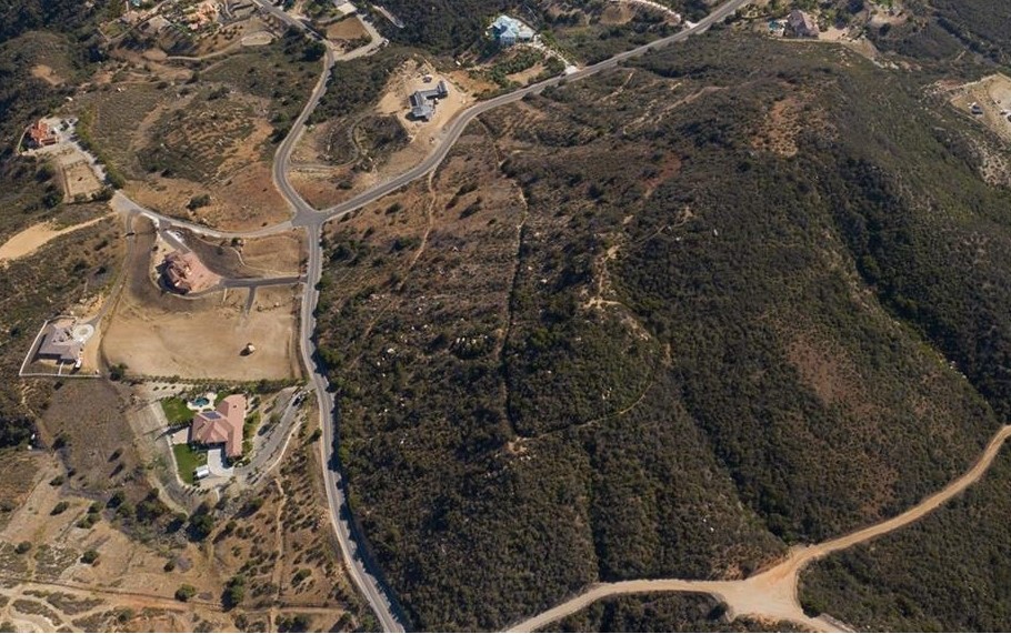 MLS #SW25020194 image #3