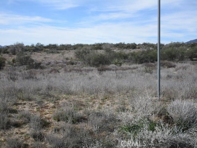 MLS #SW25023994 image #2