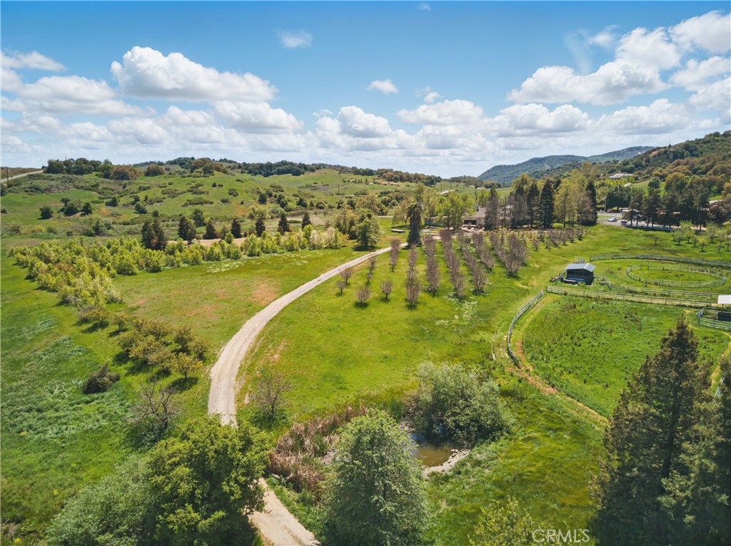 MLS #SW25025346 image #5