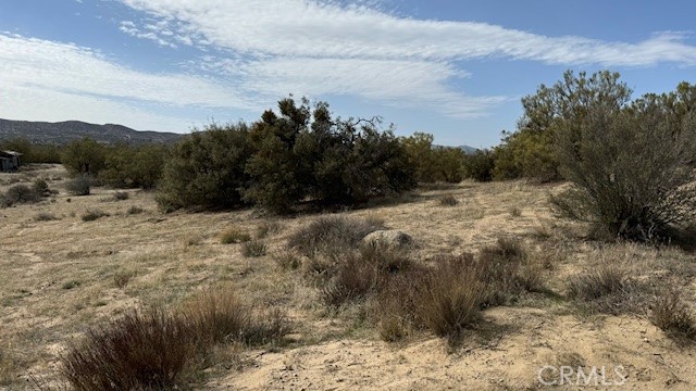 MLS #SW25046097 image #1