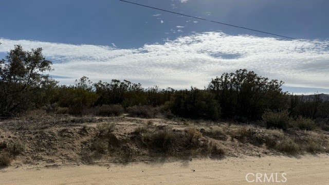 MLS #SW25046097 image #2