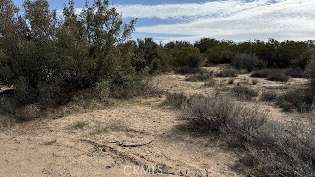 MLS #SW25046097 image #3