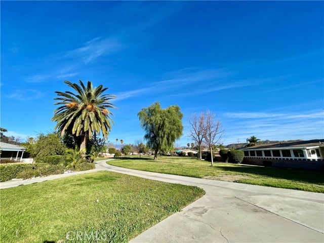 MLS #SW25047628 image #6