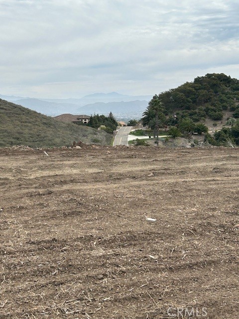 MLS #SW25049991 image #3