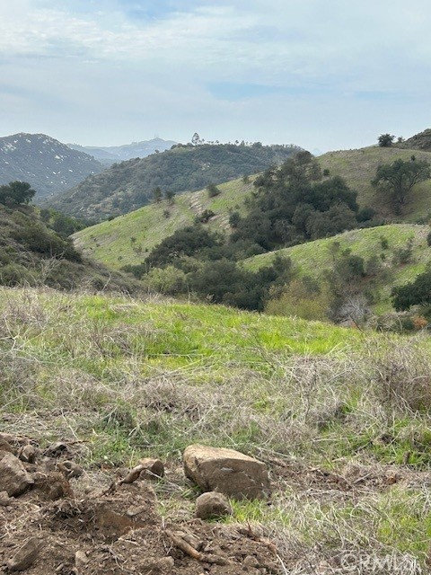 MLS #SW25049991 image #4