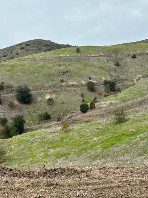 MLS #SW25049991 image #5