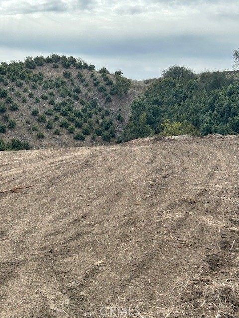 MLS #SW25049991 image #6