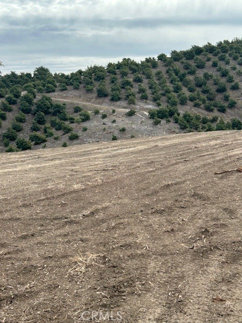 MLS #SW25049991 image #7