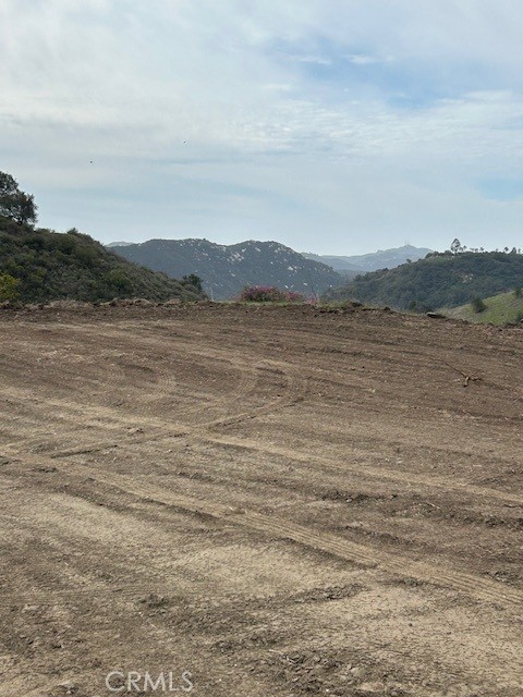 MLS #SW25049991 image #8