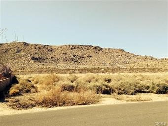 MLS #SW25054568 image #10