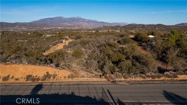 MLS #SW25056819 image #6