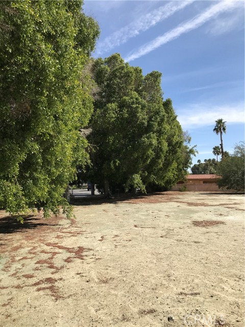 MLS #SW25056920 image #2