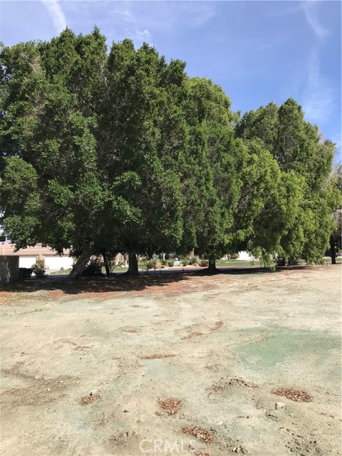 MLS #SW25056920 image #5