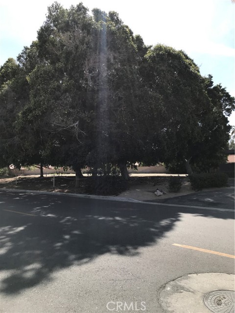 MLS #SW25056920 image #7