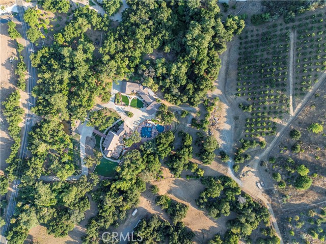 MLS #SW25063021 image #41