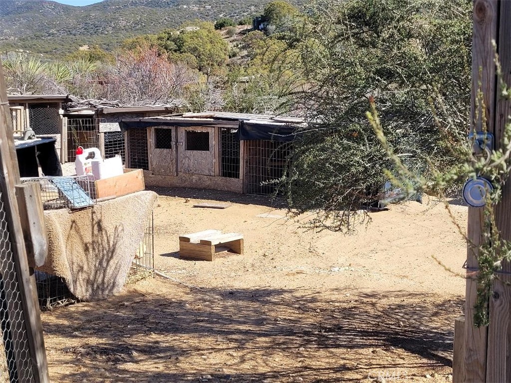 MLS #SW25064012 image #13