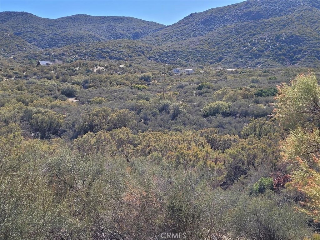 MLS #SW25064012 image #16