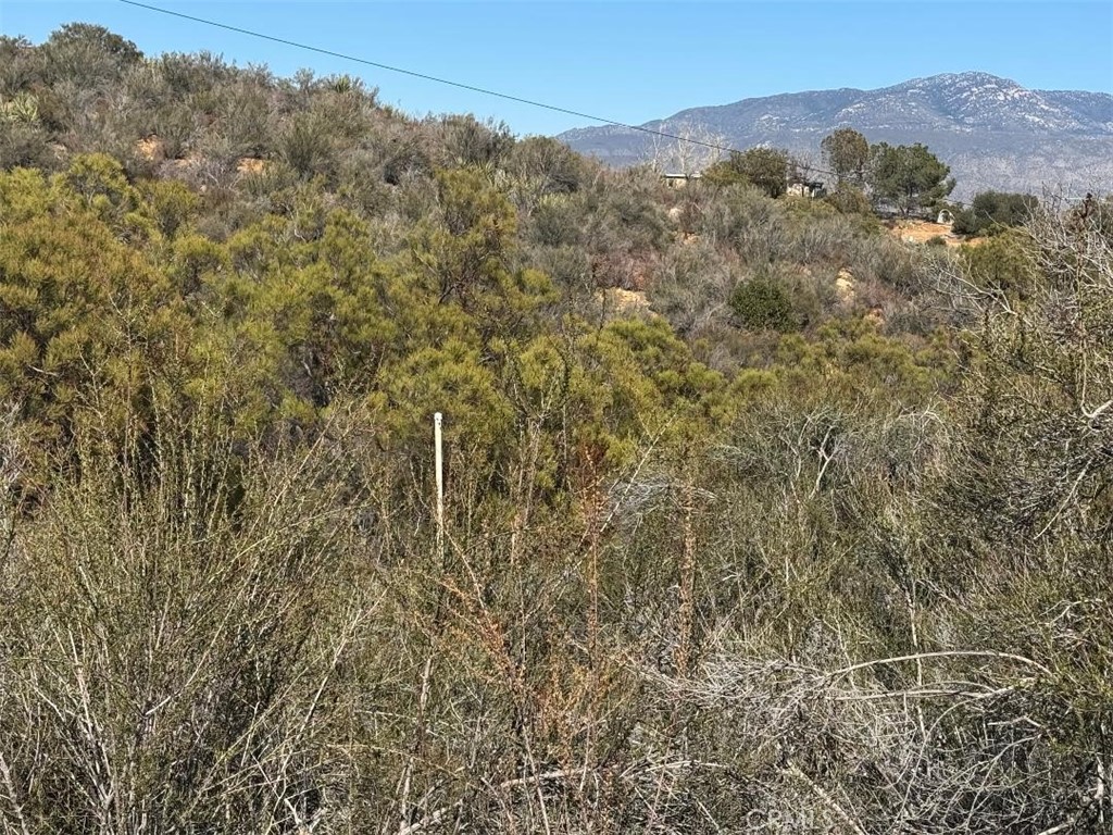 MLS #SW25064012 image #18