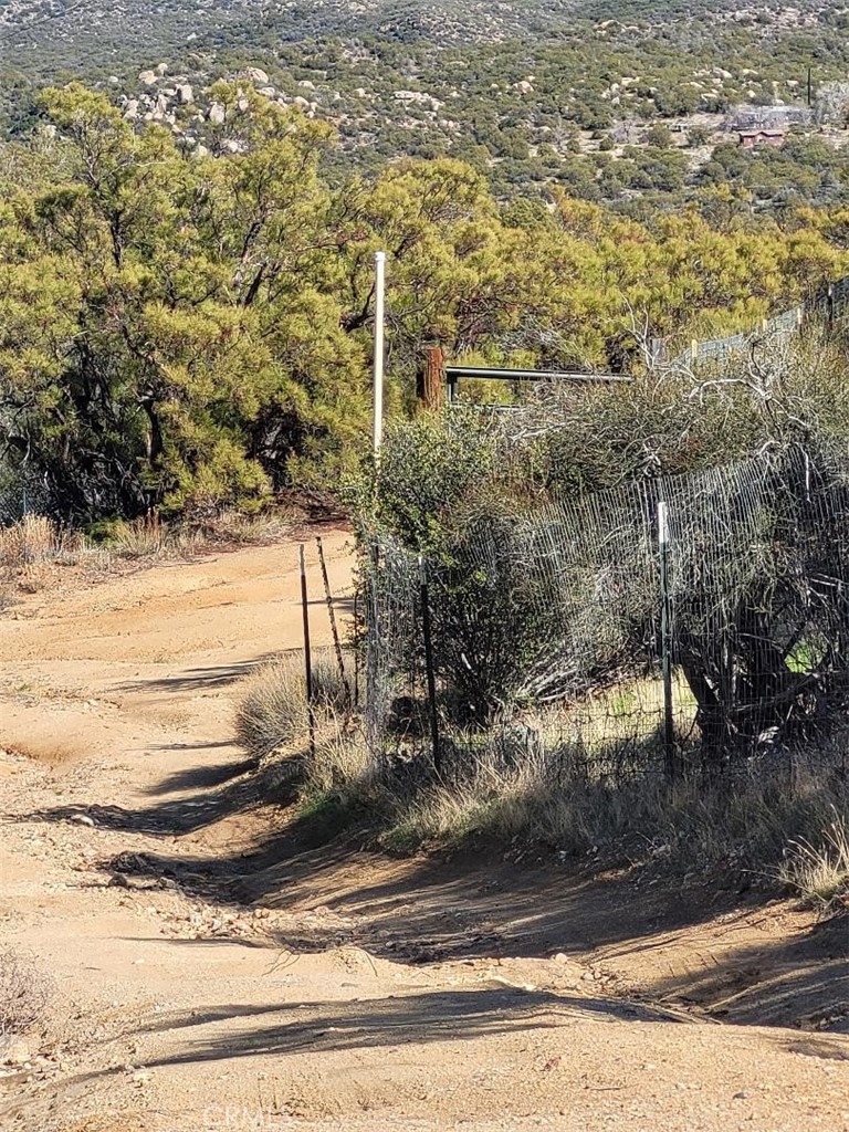 MLS #SW25064012 image #4