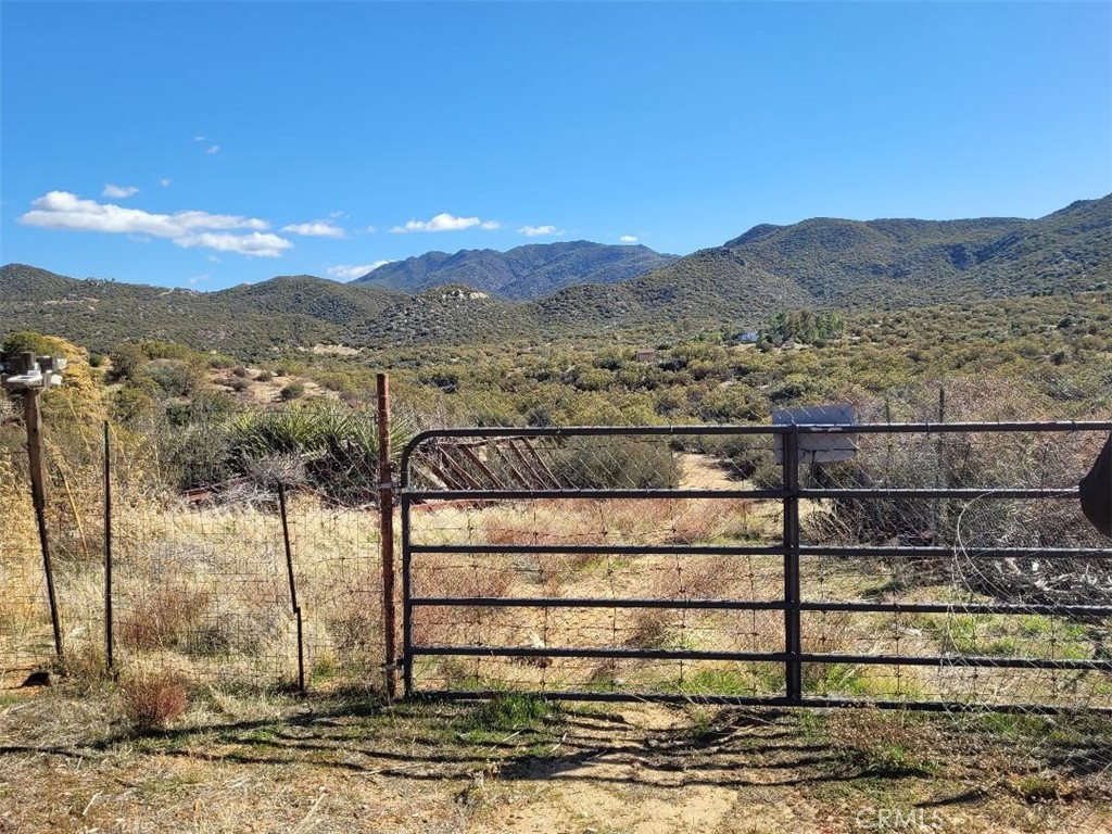 MLS #SW25064012 image #7